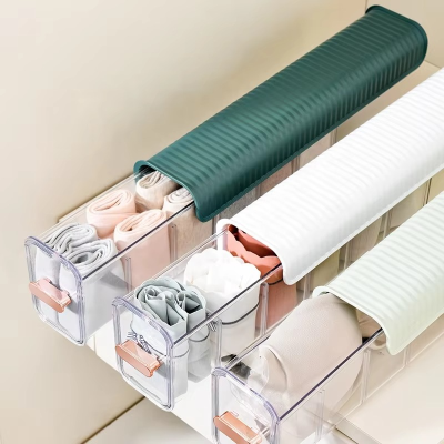 (1 পিস)  Self  Organizer